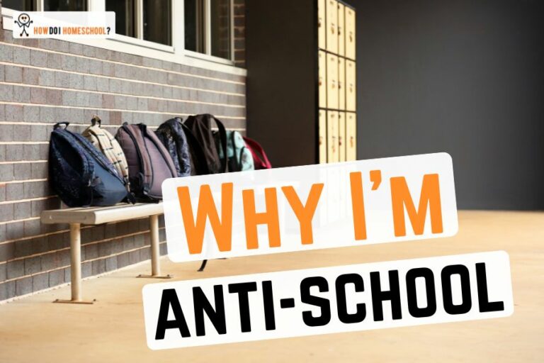 I'm anti school. I'm not going to sugar-coat it. Thats how I feel. And it's because of these reasons...
