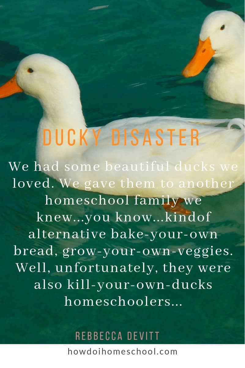 Ducky Disaster. We had some beautiful ducks we loved. We gave them to another homeschool family...#meme
