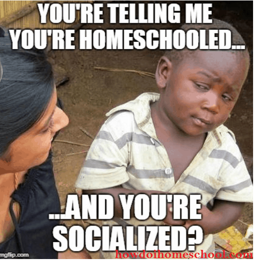 Homeschool socialization meme