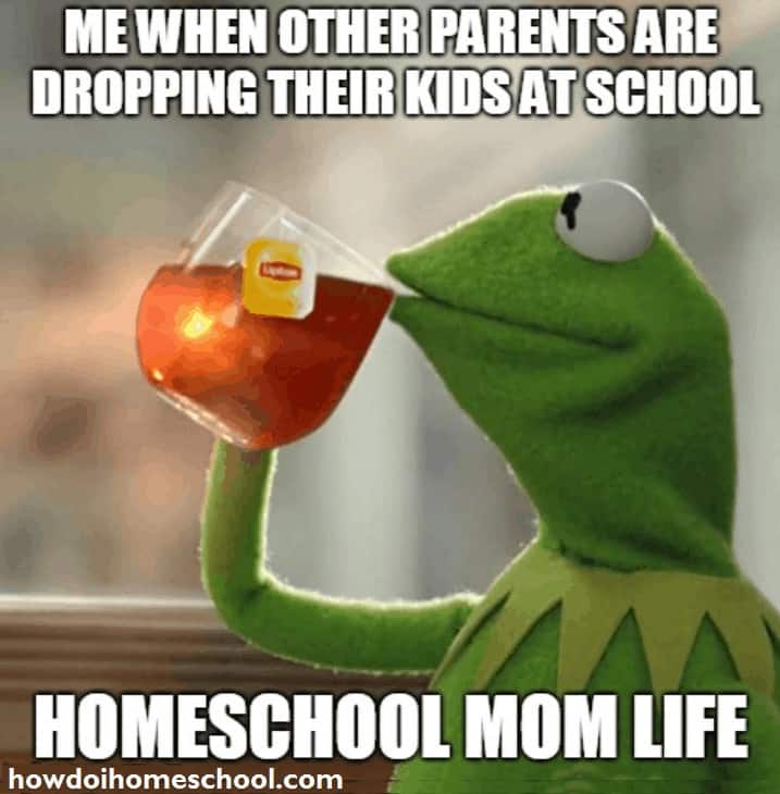 Me when other parents are dropping their kids at school homeschool mom life from howdoihomeschool.com homeschool meme