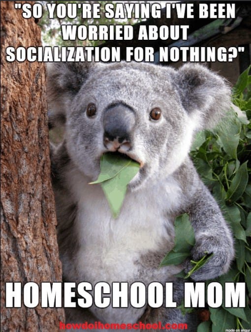 So, you're saying I've been worried about socialization for nothing? #Homeschoolmommmeme.
