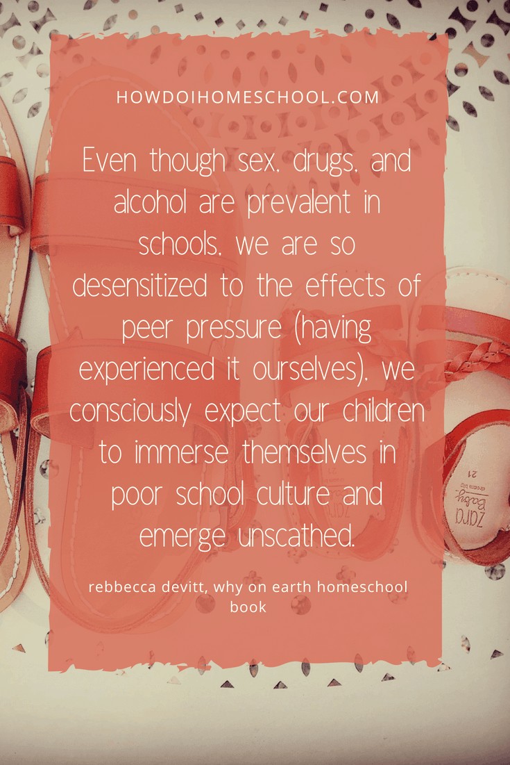 Even though sex, drugs and alcohol are prevalent in schools, we are so desensitized to the effects of peer pressure (having experienced it ourselves), we consciously expect our children to immerse themselves in poor school culture and emerge unscathed. 