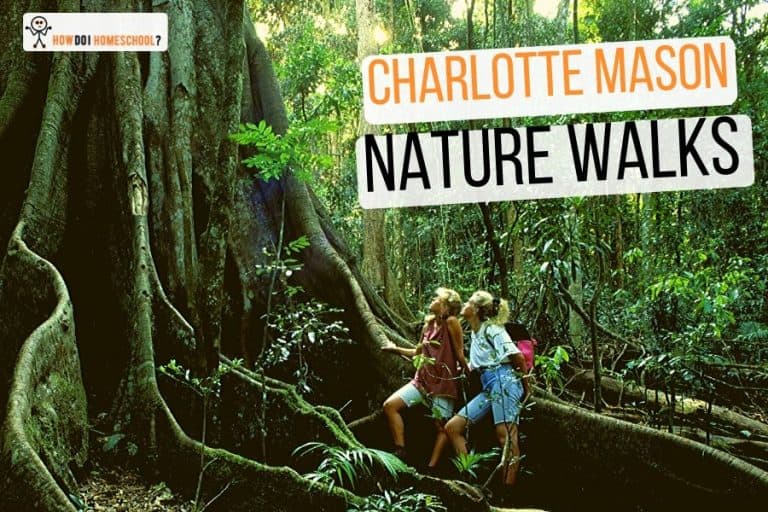 Charlotte Mason Nature Walks #naturewalks