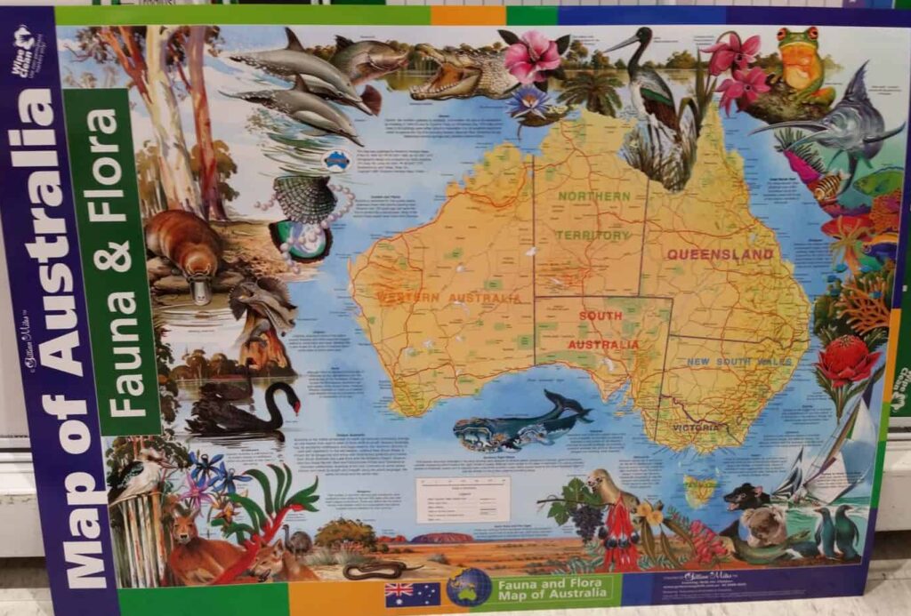 Homeschool geography isn't complete without a map of your country on the wall. 