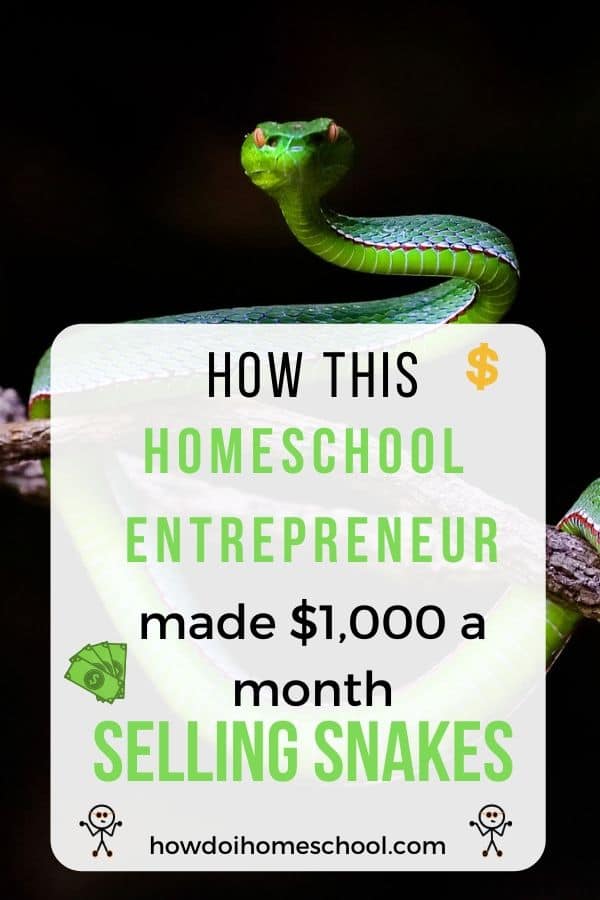 How this #Homeschool Entrepreneur made 1000 a Month Selling Snakes. #homeschoolentrepreneur #howdoihomeschool