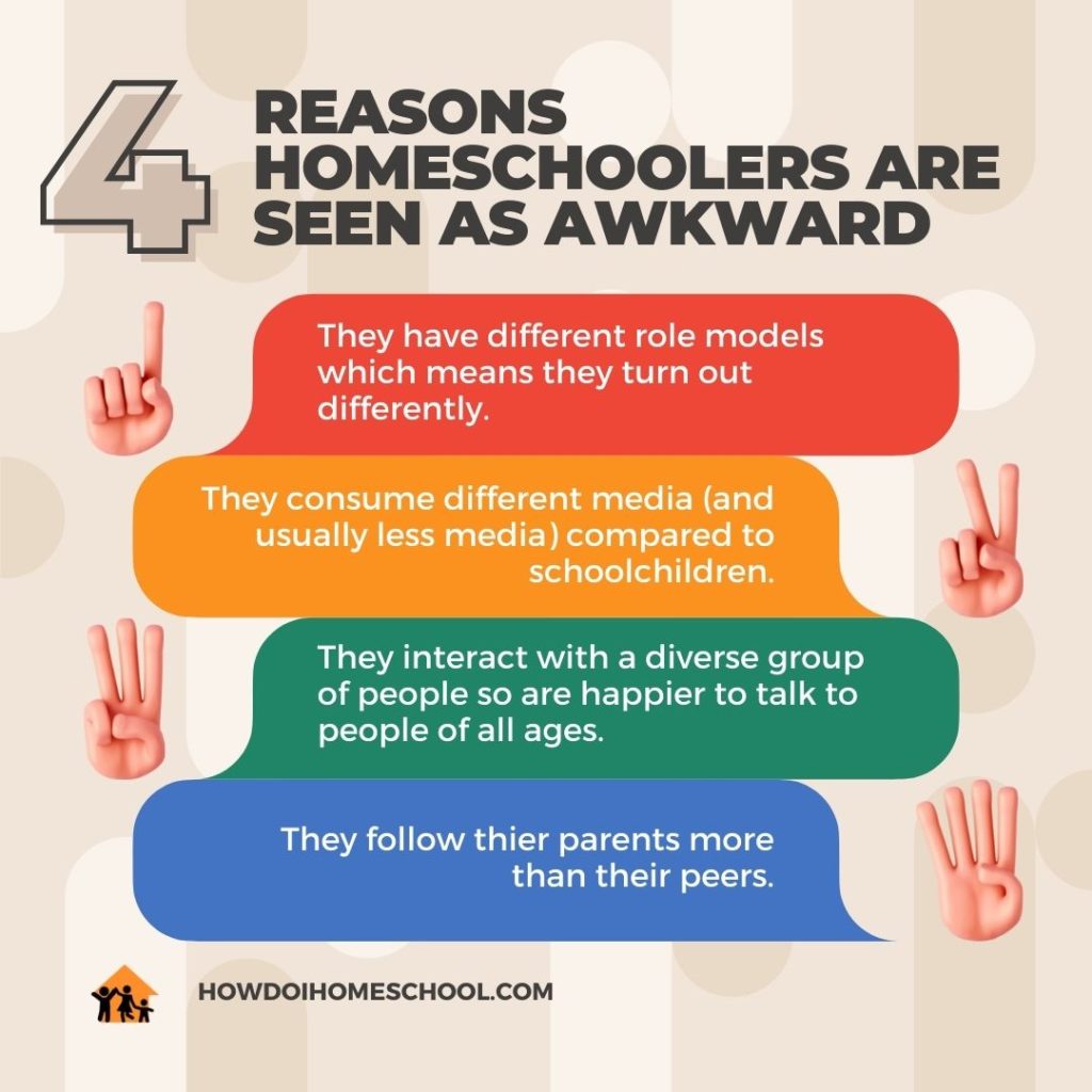 4 Reasons Why Homeschoolers are Awkward (or seen as awkward)