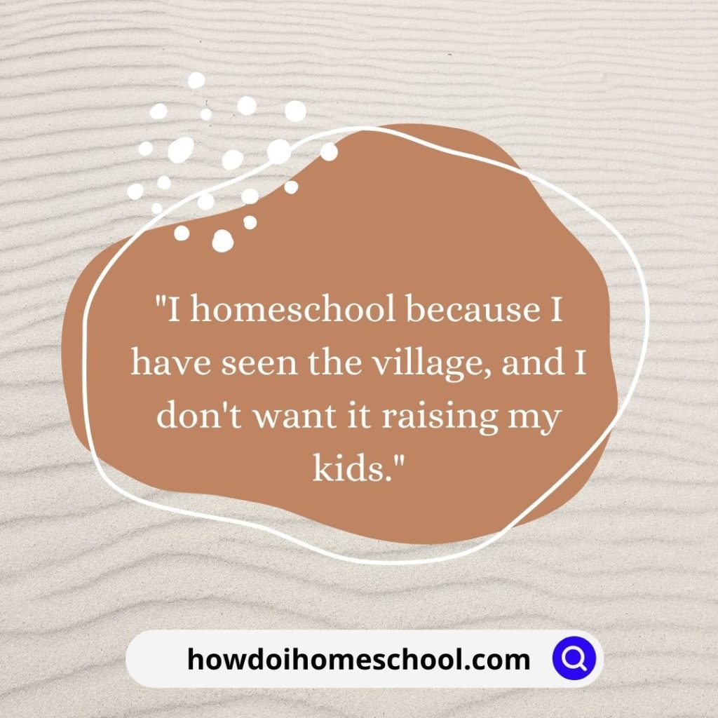 "I homeschool because I have seen the village, and I don't want it raising my kids." quote