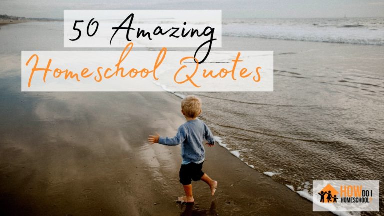Funny and Encouraging Homeschool Quotes