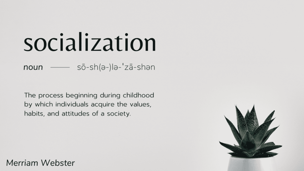 The definition of socialization is the process beginning during childhood by which individuals acquire the values, habits, and attitudes of a society.