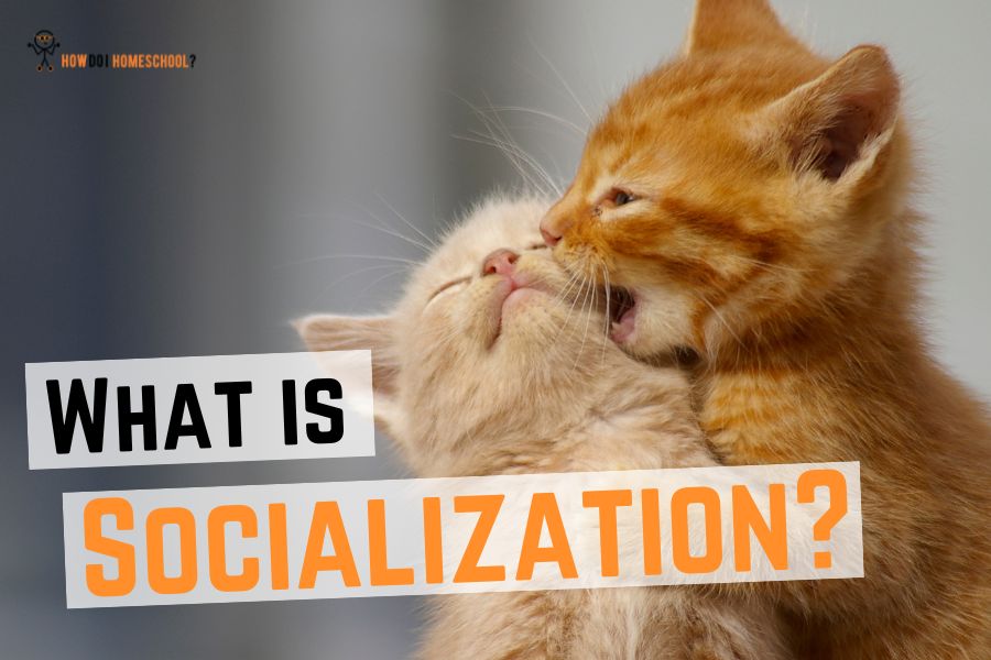Socialization 101: Definition, Agents, & Examples of Socializing