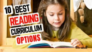 Best reading homeschool curriculum programs