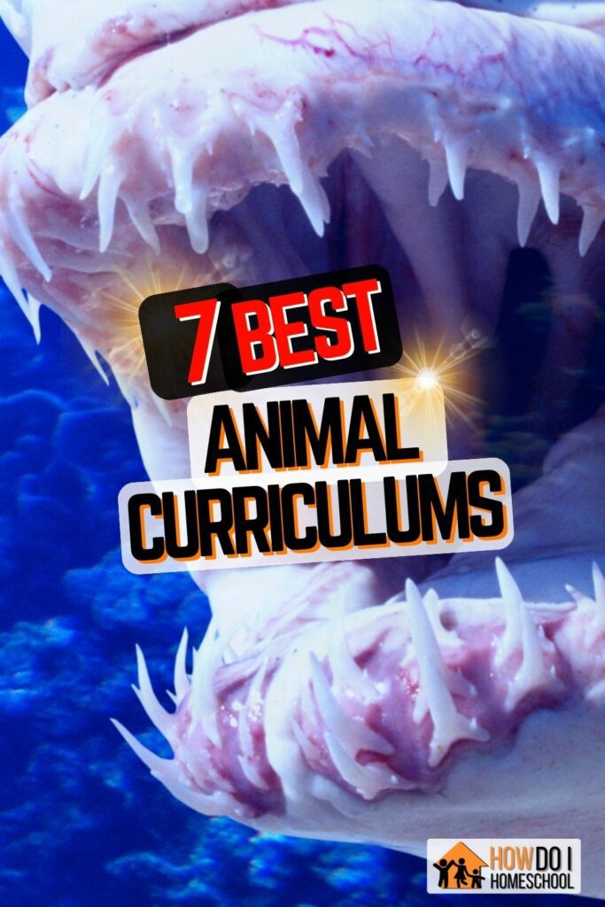 LOVE Sharks...or hate them? We're all fascinated when we learn about them! Get an animal curriculum for homeschoolers with these engaging options!